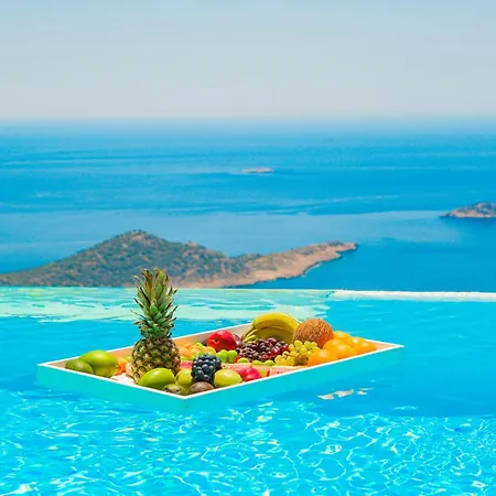 Chill - Hill Vista * كاس